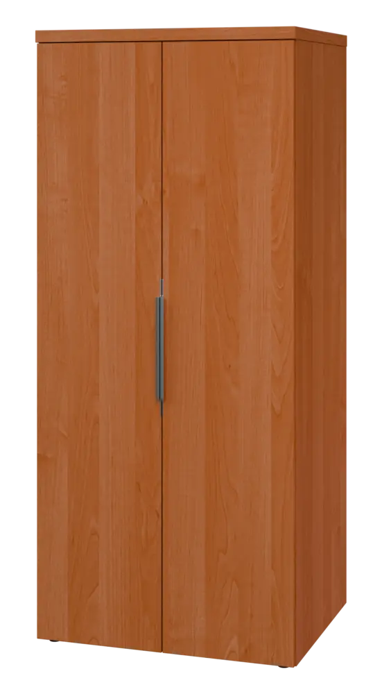 SIST 5 - 82 šatní skříň, 2-dveřová, tyč, 1820x800x600, olše jantar